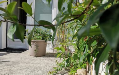 Studio ouvert cet été ! Studio ouvert cet été !